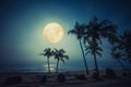 Beautiful fantasy tropical beach with star and full moon in night skies Royalty Free Stock Photo