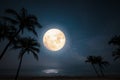 Beautiful fantasy tropical beach with star and full moon in night skies Royalty Free Stock Photo