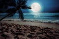 Beautiful fantasy tropical beach with star and full moon in night skies Royalty Free Stock Photo