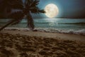 Beautiful fantasy tropical beach with star and full moon in night skies