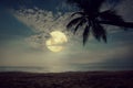 Beautiful fantasy tropical beach with star in night skies, full moon Royalty Free Stock Photo