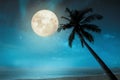 Beautiful fantasy tropical beach with full moon Royalty Free Stock Photo