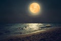 Beautiful fantasy tropical sea beach. Full moon super moon Royalty Free Stock Photo