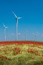 Beautiful farm landscape with wheat field, poppies and chamomile flowers, wind turbines to produce green energy in Germany, Summer Royalty Free Stock Photo