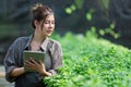 A beautiful farmer works on flowers in a greenhouse and takes notes on tablet. Spring and summer. Small floral business concept