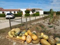 Farmhouse near Aljezur in Portugal at the coast Vicentina, where the fishermens trail starts