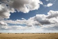 Beautiful farmland in essex england