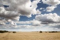 Beautiful farmland in essex england