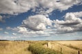 Beautiful farmland in essex england