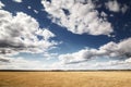 Beautiful farmland in essex england