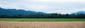 Beautiful farmland with golden wheat field and green meadow