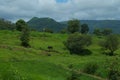 Beautiful farmland landscape in Indian village Satara Royalty Free Stock Photo