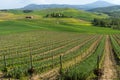 Beautiful farmland rural landscape, cypress trees and colorful spring flowers in Tuscany, Italy. Typical rural house Royalty Free Stock Photo