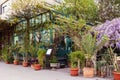 Beautiful fasade of vintage cafe decorated flower pots and plants. City and travel