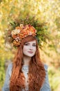 Beautiful fashion female with autumnal make up and red hair style Royalty Free Stock Photo