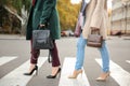 Beautiful fashionable women crossing road