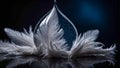 Beautiful feather, drop of water dark background decoration soft pretty Royalty Free Stock Photo