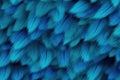 Beautiful feathers background in bright blue colors. Closeup image of colorful fluffy feather. Royalty Free Stock Photo