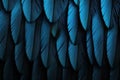 Beautiful feathers background in dark navy blue colors. Closeup image of colorful fluffy feather. Royalty Free Stock Photo