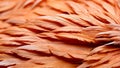 Beautiful feathers closeup background