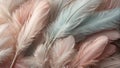 Beautiful feathers closeup background