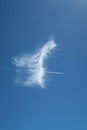 Beautiful feathery cloud with plane contrail piercing directly through