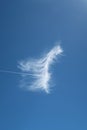 Beautiful feathery cloud with plane contrail piercing it