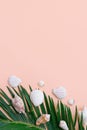 Beautiful feathery green palm leaf white sea shells on pastel pink wall background. Summer tropical nautical creative concept