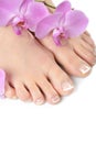 Beautiful feet with perfect french spa pedicure Royalty Free Stock Photo