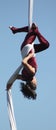 Beautiful female acrobat performs on silks