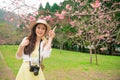 Beautiful female blogger visiting cherry park Royalty Free Stock Photo