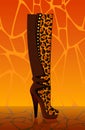 Beautiful female boots Royalty Free Stock Photo