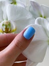 Beautiful Female close up light blue nails manicure, orchid flower on the light background
