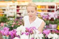 Beautiful lady smelling colorful blooming orchids. Royalty Free Stock Photo