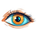 Beautiful female eye. Cute drawing eye. Hand drawn watercolor eye Royalty Free Stock Photo