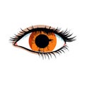 Beautiful female eye. Cute drawing eye. Hand drawn watercolor eye Royalty Free Stock Photo