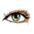 Beautiful female eye. Cute drawing eye. Hand drawn watercolor eye Royalty Free Stock Photo
