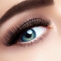 Beautiful female eye with extreme long eyelashes, black liner makeup. Perfect make-up, long lashes. Closeup fashion eyes