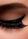 Beautiful female eye with extreme long eyelashes, black liner makeup. Perfect make-up, long lashes. Closeup fashion eyes Royalty Free Stock Photo