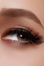 Beautiful female eye with extreme long eyelashes, black liner makeup. Perfect make-up, long lashes. Closeup fashion eyes Royalty Free Stock Photo