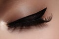 Beautiful female eye with extreme long eyelashes, black liner makeup. Perfect make-up, long lashes. Closeup fashion eyes