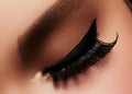 Beautiful female eye with extreme long eyelashes, black liner makeup. Perfect make-up, long lashes. Closeup fashion eyes Royalty Free Stock Photo