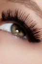 Beautiful female eye with extreme long eyelashes, black liner makeup. Perfect make-up, long lashes. Closeup fashion eyes Royalty Free Stock Photo