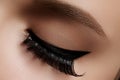 Beautiful female eye with extreme long eyelashes, black liner makeup. Perfect make-up, long lashes. Closeup fashion eyes Royalty Free Stock Photo