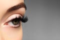 Beautiful female eye with extreme long eyelashes, black liner makeup. Perfect make-up, long lashes. Closeup fashion eyes