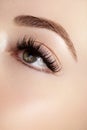 Beautiful female eye with extreme long eyelashes, black liner makeup. Perfect make-up, long lashes. Closeup fashion eyes Royalty Free Stock Photo