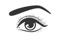 Beautiful Female Eye Isolated Fashion Eyelash Mascara Vector Illustration