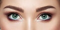 Beautiful female eyes with long eyelashes Royalty Free Stock Photo