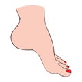 Beautiful female feet barefoot sketch. Black-and-white outline sketch. A design element for spa, manicure or cosmetics.