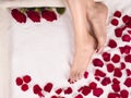 Beautiful female feet with a beautiful pedicure on a terry towel with rose petals. Spa and skin care concept. Royalty Free Stock Photo